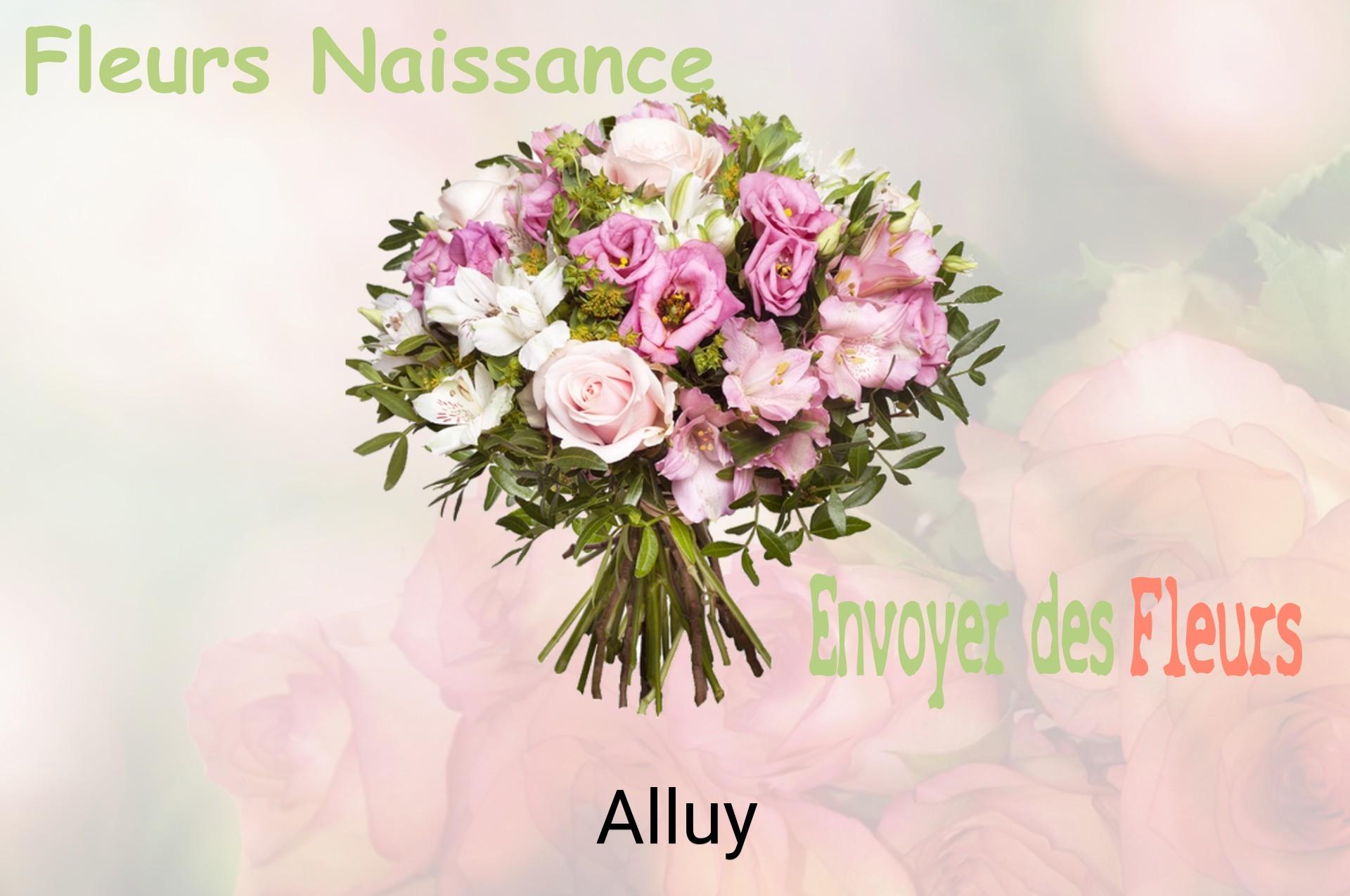 Bouquet de fleurs de naissance livré à Alluy
